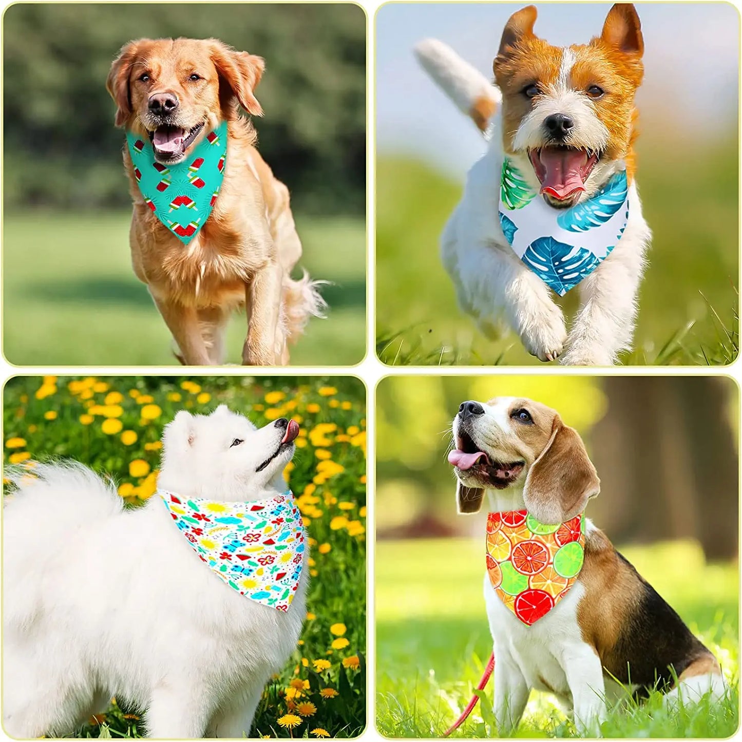 Packung mit 50 hawaiianischen Bandanas für Hunde – weiche und farbenfrohe Dreieckstücher 🐾