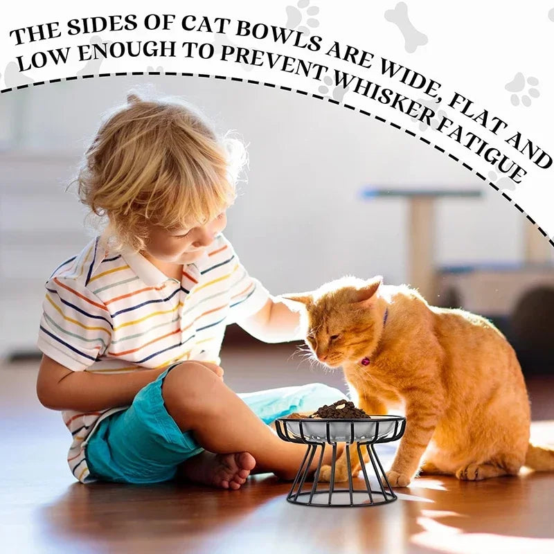 Bol en Céramique sur Support en Métal - Mangeoire Surélévée pour Chats et Chiots 🐾