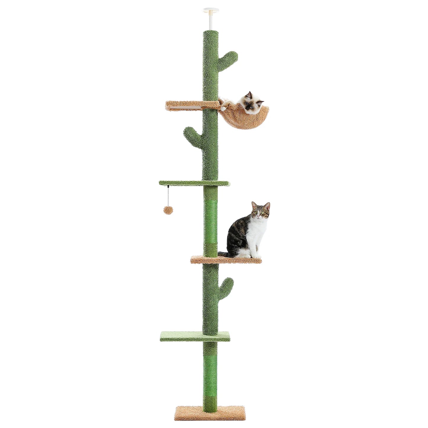 Cactus Cat Tree 5 Levels - Floor to Ceiling Climbing Tower with Scratching Posts and Hammock 🐾