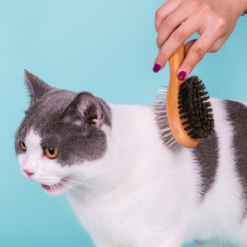 Pet Comb Dog Cleaning Brush