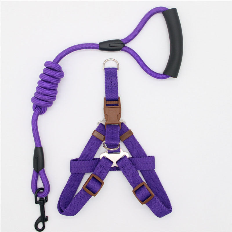 Pet Supplies Simple Dog Leash