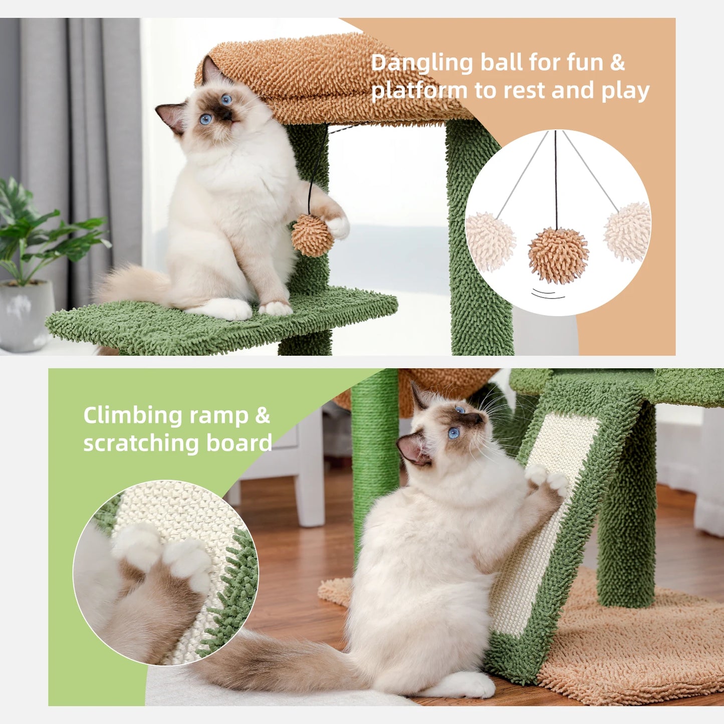 Tour à Chat Cactus avec Griffoir en Sisal et Condo Confortable - Speedy Pet 🐾