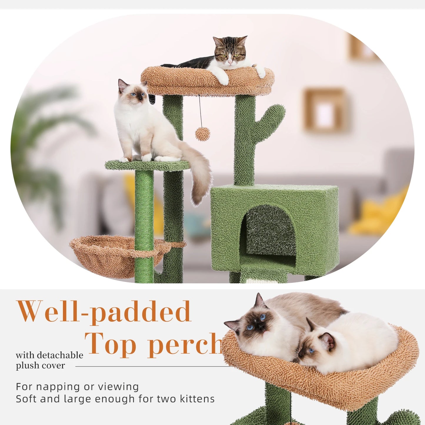 Tour à Chat Cactus avec Griffoir en Sisal et Condo Confortable - Speedy Pet 🐾