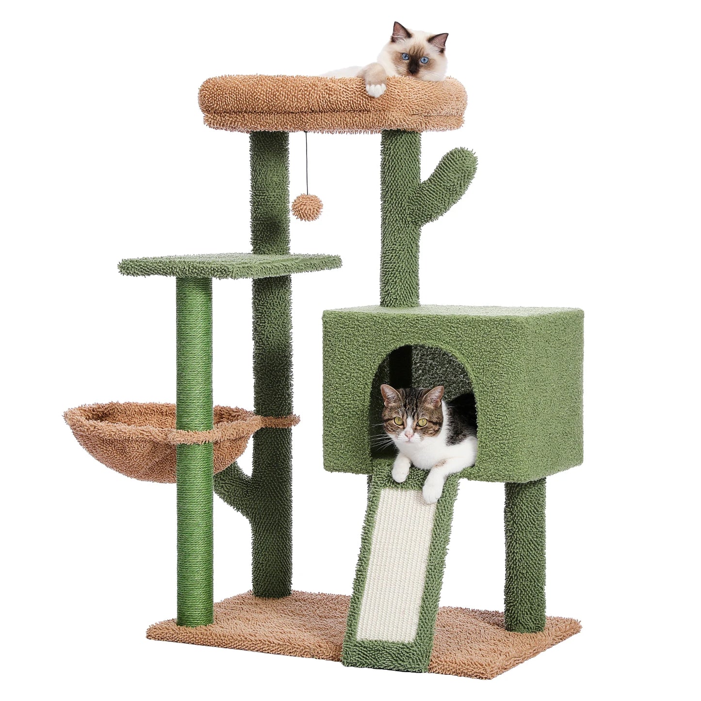 Tour à Chat Cactus avec Griffoir en Sisal et Condo Confortable - Speedy Pet 🐾