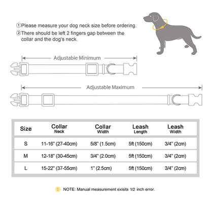 Ensemble Laisse et Collier Personnalisés en Nylon pour Chiens et Chiots