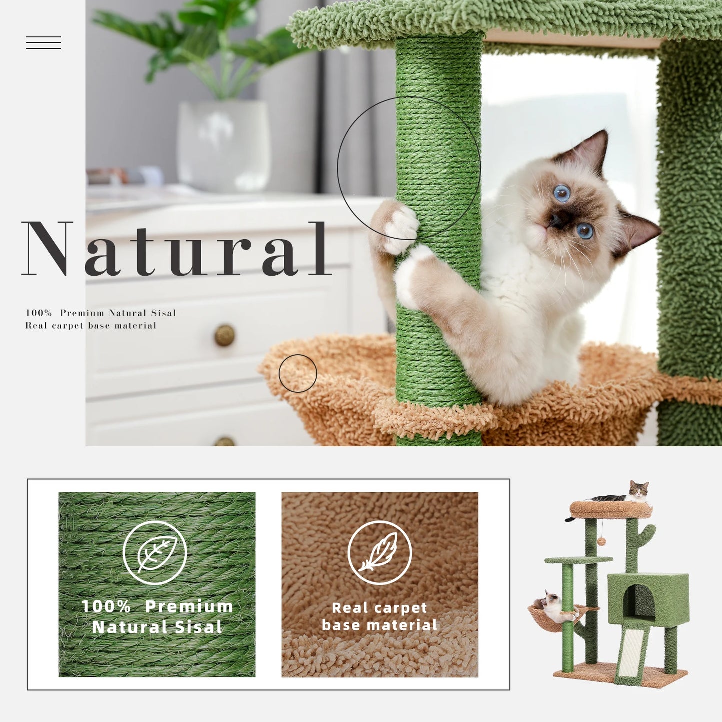 Tour à Chat Cactus avec Griffoir en Sisal et Condo Confortable - Speedy Pet 🐾