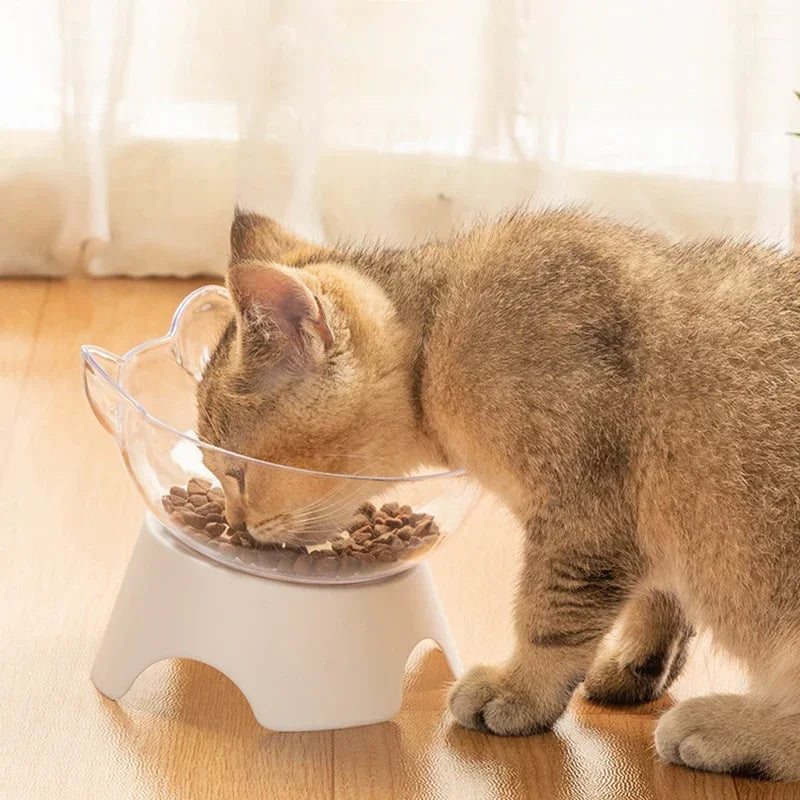 Gamelle Surélevée Inclinée pour Chat - Confort et Bien-Être au Quotidien 🐱